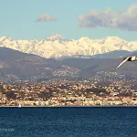 Les Portes De L'esterel *